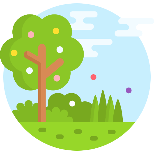 Children's Play Area